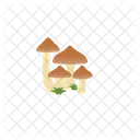 Matsutake Mushroom Icon