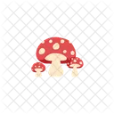 Amanita Muscaria Mushroom Icon