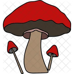 Mushroom  Icon