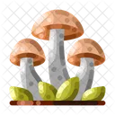 Mushroom Fungus Fungi アイコン