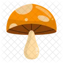 Mushroom Muscaria Fungi Icon