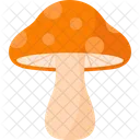 Mushroom Beanie Chesnut Icon