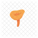 Mushroom Food Vegetable Icon