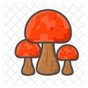 Mushroom Food Vegetable Icon