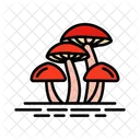 Mushroom  Icon