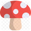 Mushroom Fungus Fungi Icon