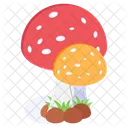 Wild Mushroom Toadstool Icon