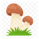 Mushroom  Icon