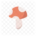 Mushroom  Icon