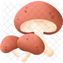 Mushroom Food Vegetable Icon