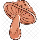 Mushroom  Icon
