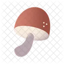 Mushroom  Icon