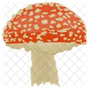 Mushroom Fungi Toadstool Icon