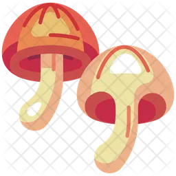 Mushroom shiitake  Icon