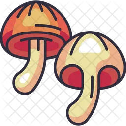 Mushroom shiitake  Icon