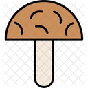 Mushrooms Mushroom Food Icon