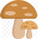 Mushrooms Food Healthy Icon