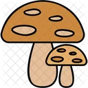Mushrooms Food Green Icon
