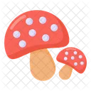 Oyster Mushrooms Mushrooms Fungi Icon