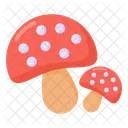 Oyster Mushrooms Mushrooms Fungi Icon