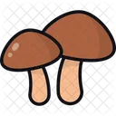 Mushrooms Fungus Organic Icon