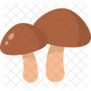 Mushrooms Fungus Organic Icon