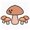 Mushrooms  Icon