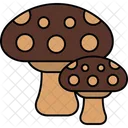 Mushrooms Food Vegetable Icon