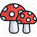 Mushrooms Fungus Nature Icon