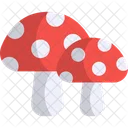 Mushrooms Fungus Nature Icon