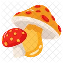 Mushrooms Toadstool Fungi Icon