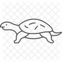 Musk Turtle Muskturtle Reptile Icon