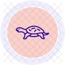 Musk Turtle Muskturtle Reptile Icon