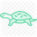 Musk Turtle Icon