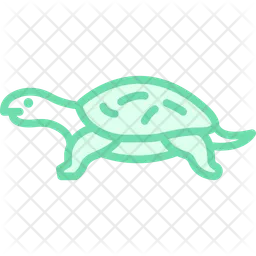 Musk turtle  Icon