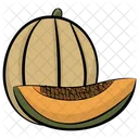 Melon Fruit Cantaloupe Icon