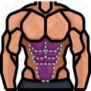 Musscle Gain Muscle Bodybuilding Icon