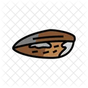 Mussel Clam  Icon