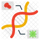 Mutaciones Geneticas Replicacion Del ADN Analisis Del ADN Icono