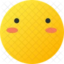Muted Smiley Avatar Icon