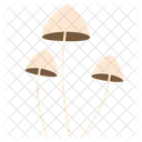 Mushroom Mycena Fungus Fungi Mushrooms Icon