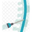 Myelogram Spinal Cord Icon