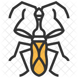 Myodocha Icon