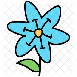 Myosotis Sylvatica  Icon