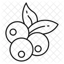  Icône