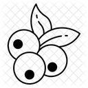  Icône