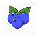 Myrtille Nourriture Fruit Icône
