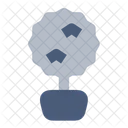 Myrtus Flower Botanical Icon