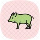 Pekari Symbol