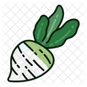 Nabo Vegetal Saudavel Ícone